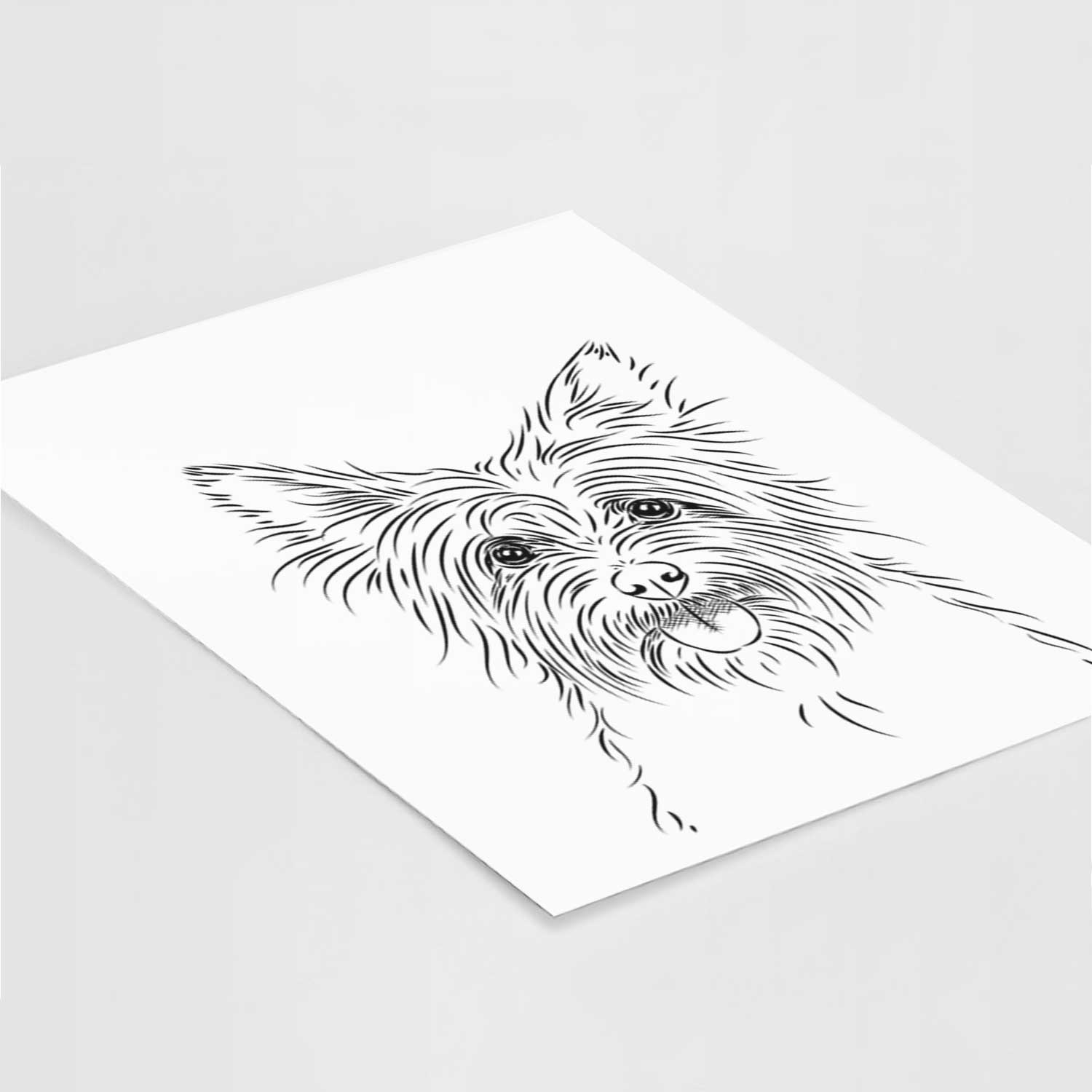 Calum the Cairn Terrier Art Print