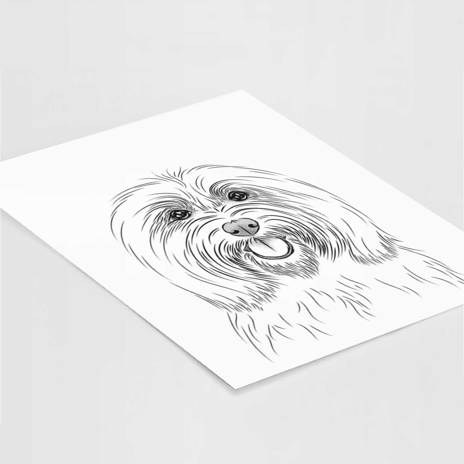 Claude the Coton de Tulear Art Print