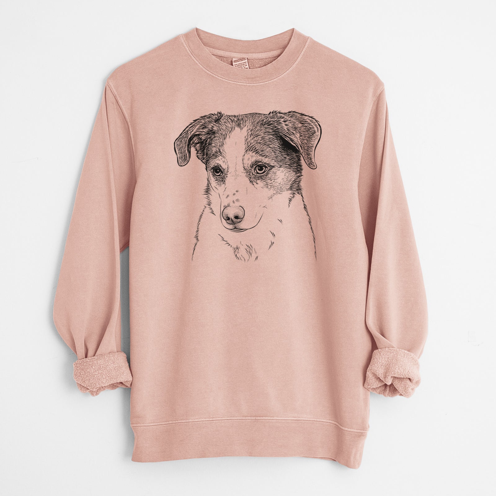 Bare Coco the Beagle Mix - Unisex Pigment Dyed Crew Sweatshirt