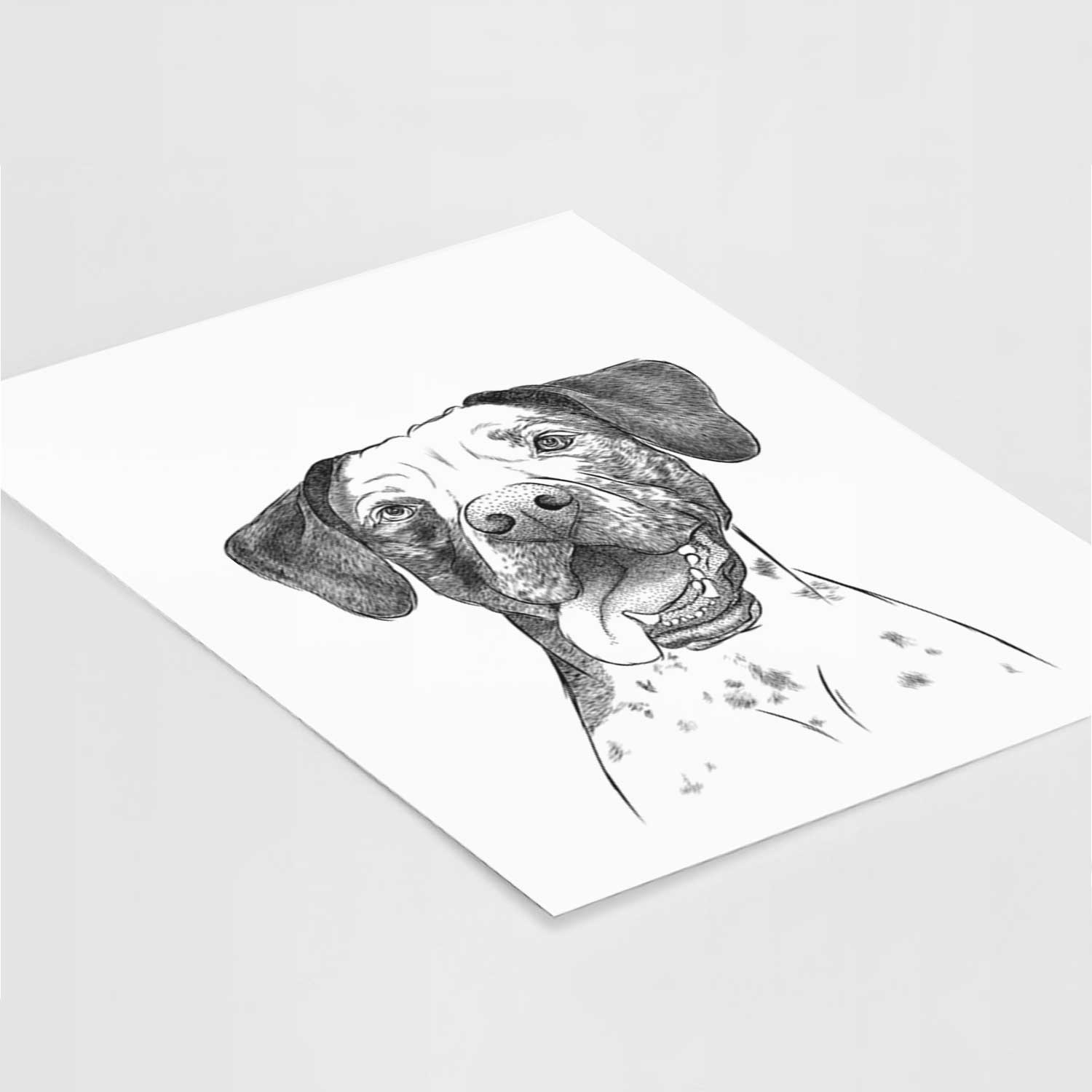 Cola the Catahoula Art Print