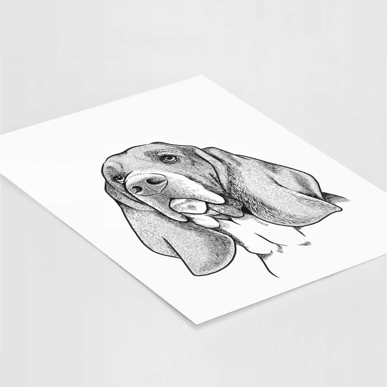 Cooper the Basset Hound Art Print