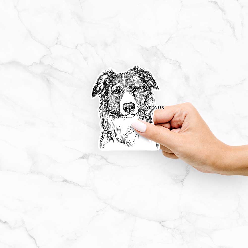 Hand-drawn sketch of Cynder the English Shepherd on a decal sticker