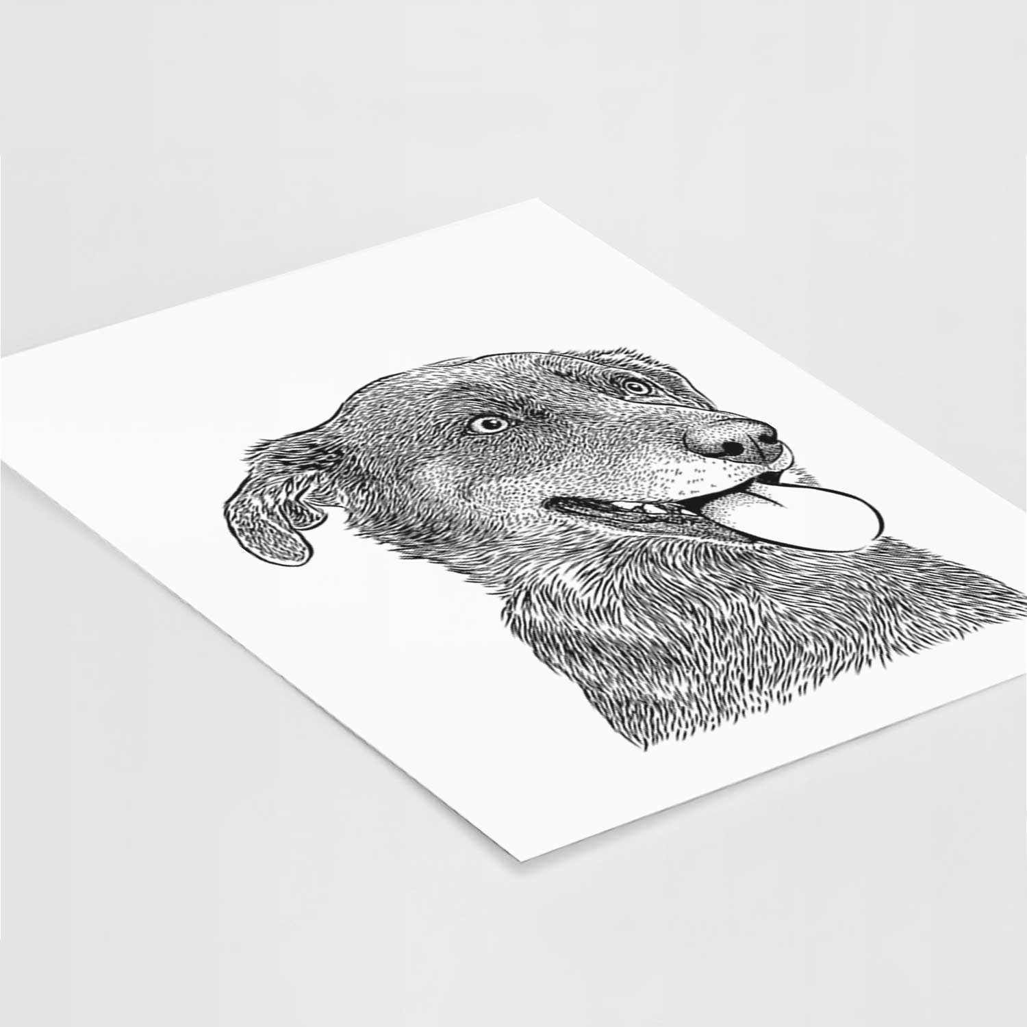 Daisy the Australian Shepherd Mix Art Print