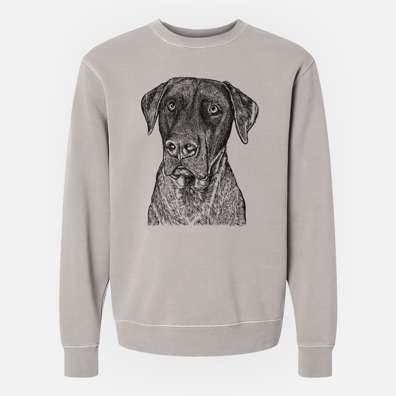 Bare David the Boxador - Unisex Pigment Dyed Crew Sweatshirt