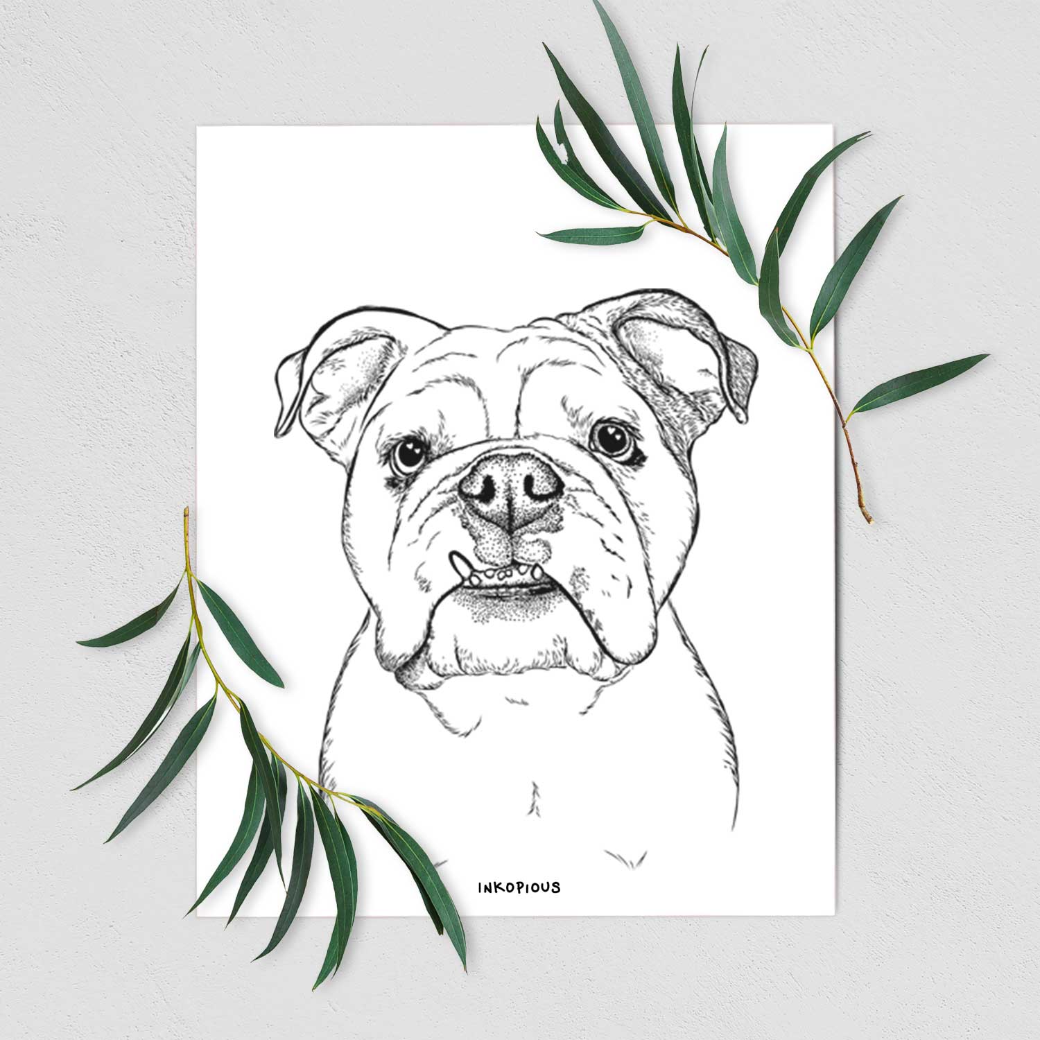 Dazy the English Bulldog Art Print