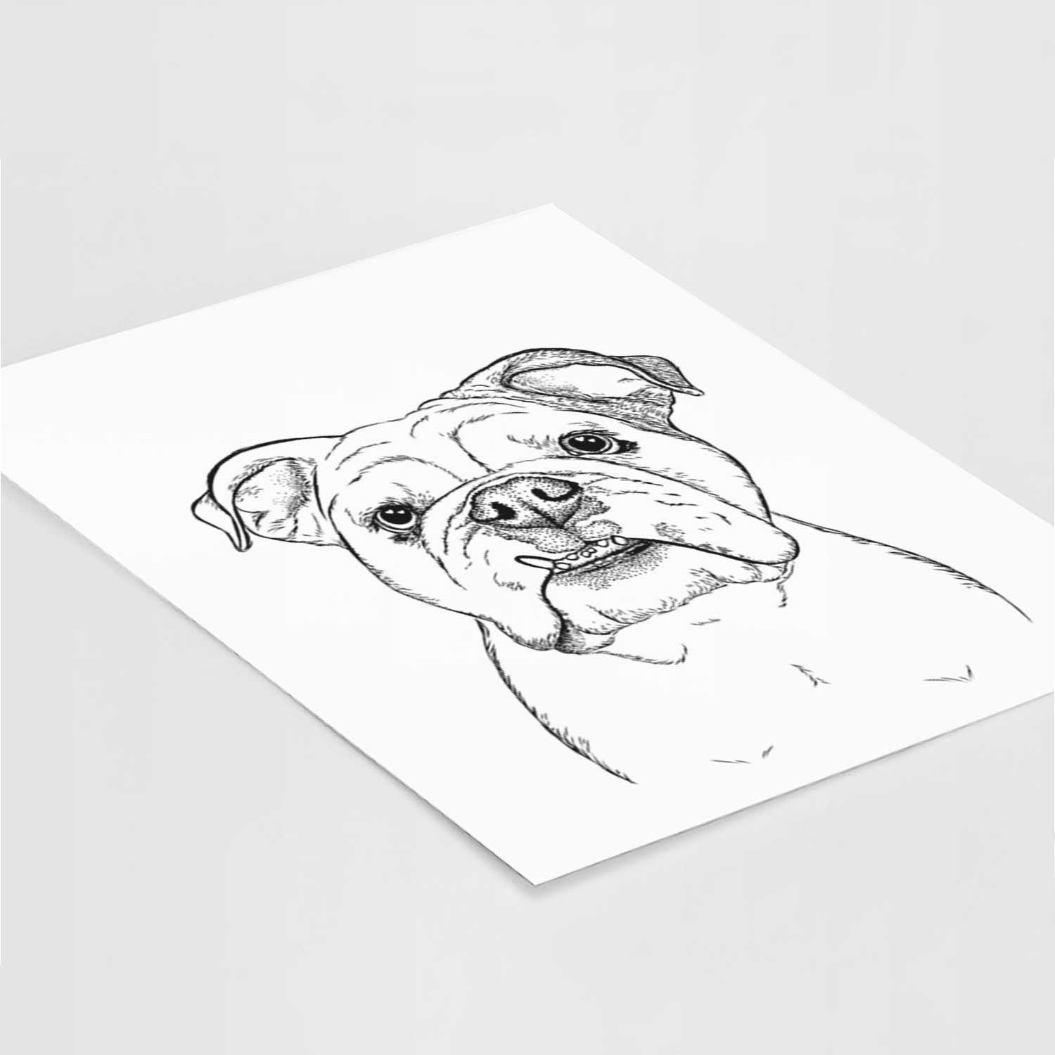 Dazy the English Bulldog Art Print