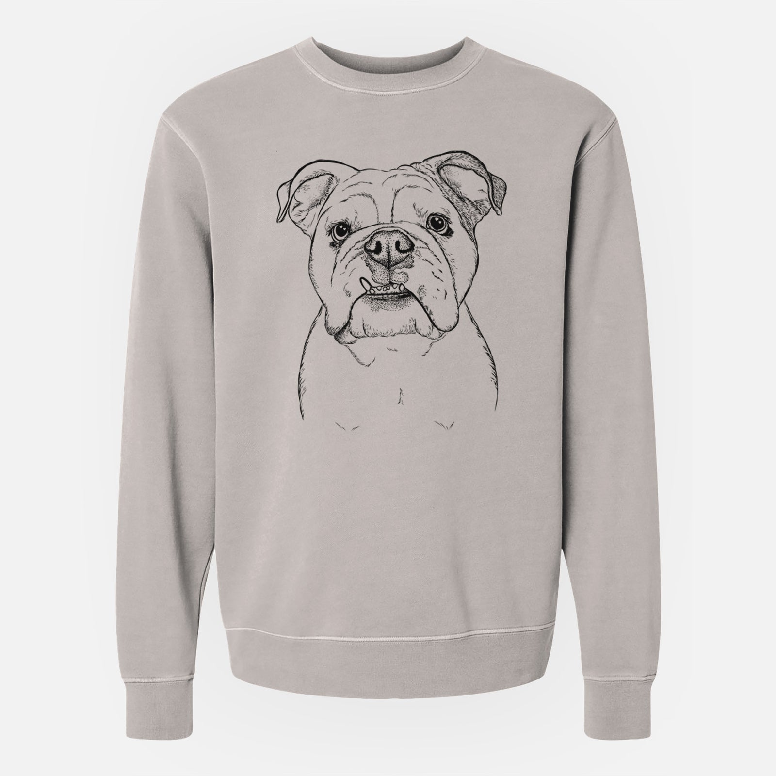 Bare Dazy the English Bulldog - Unisex Pigment Dyed Crew Sweatshirt