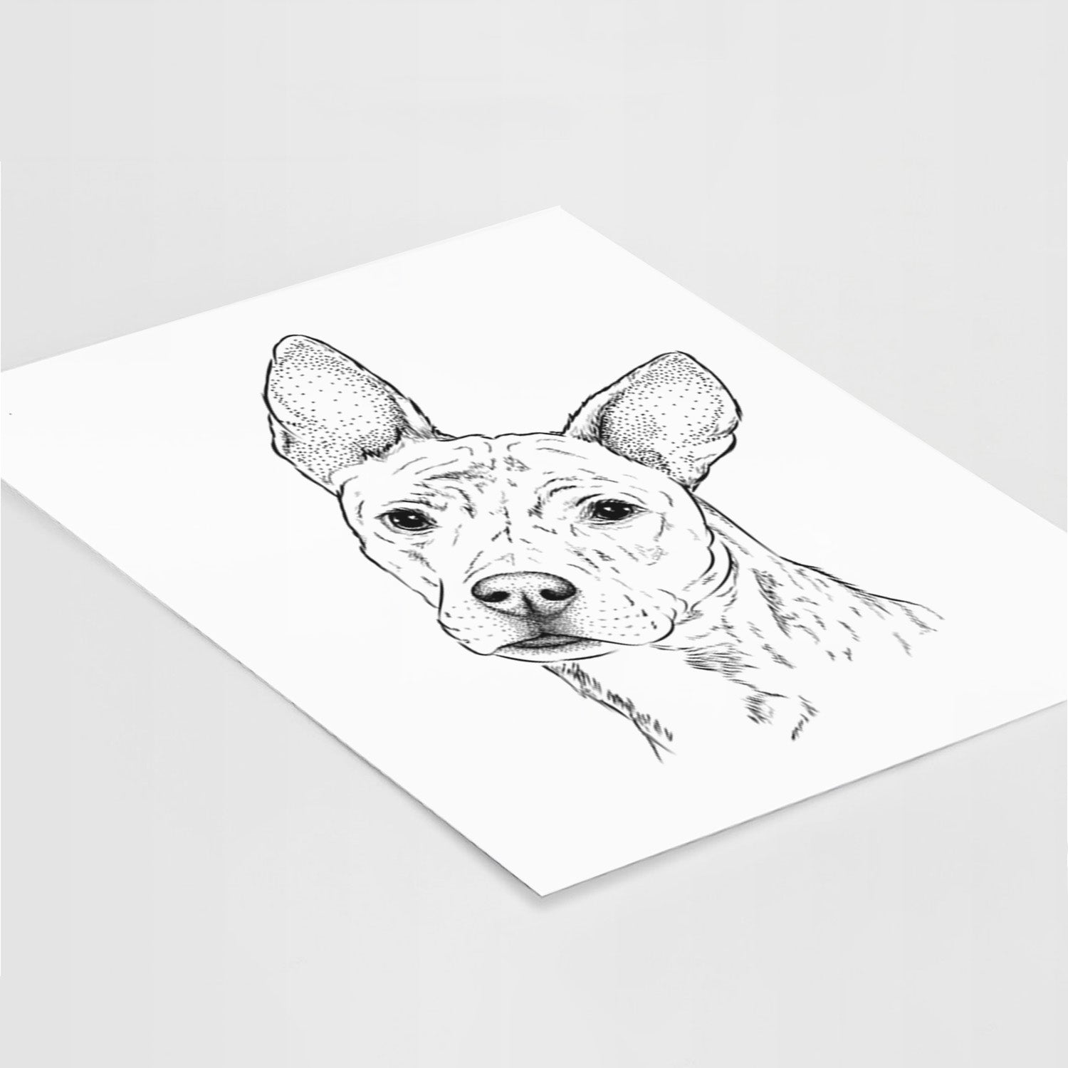 Diesel the Mixed Breed Art Print