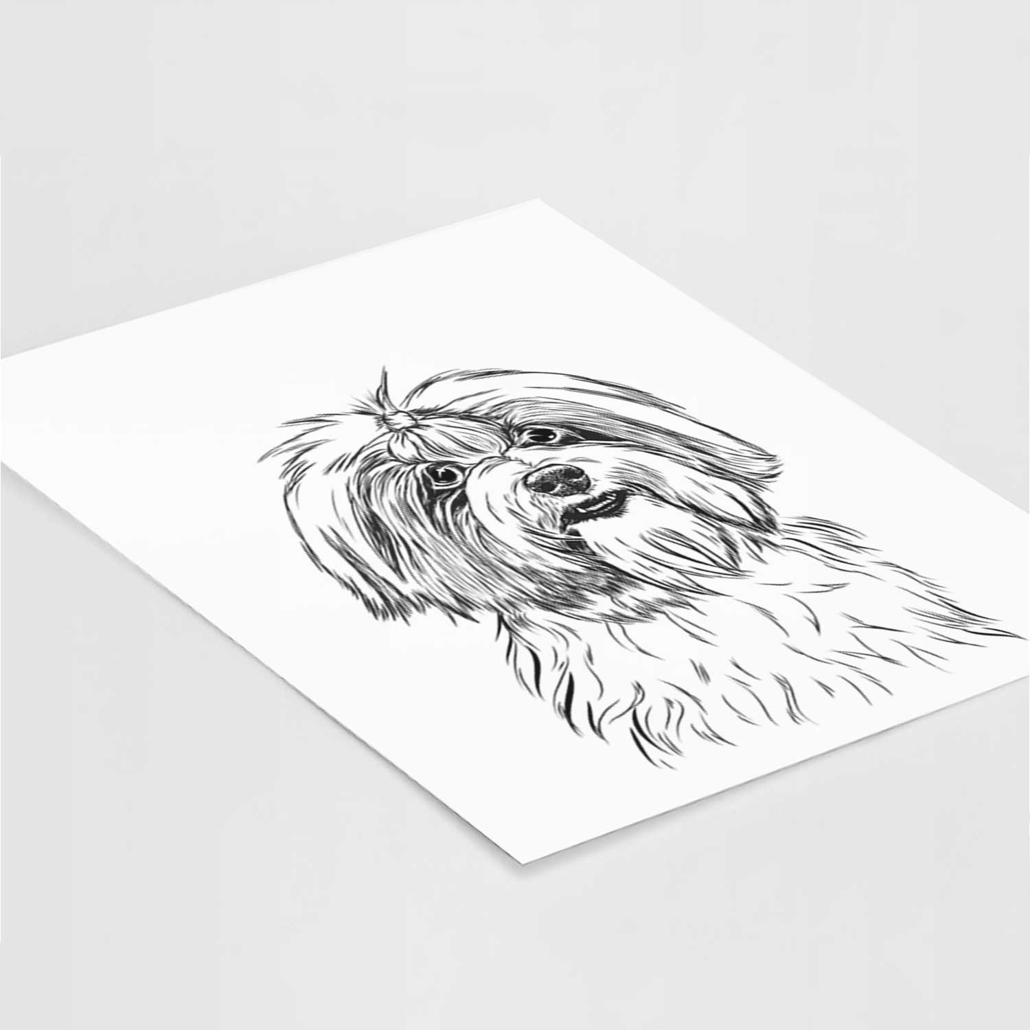 Dooley the Havanese Art Print