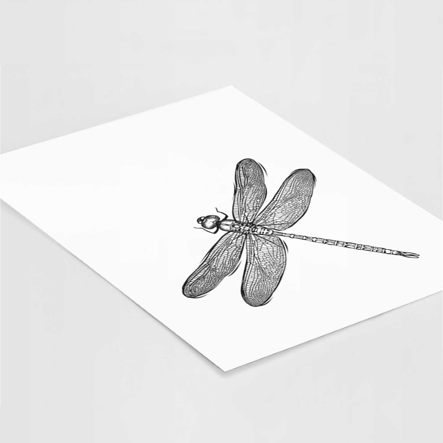 Dragonfly Art Print