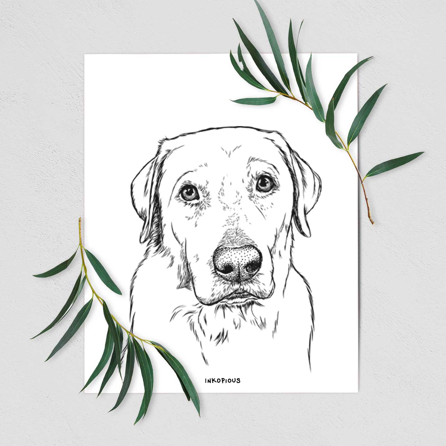 Duke the Yellow Labrador Art Print