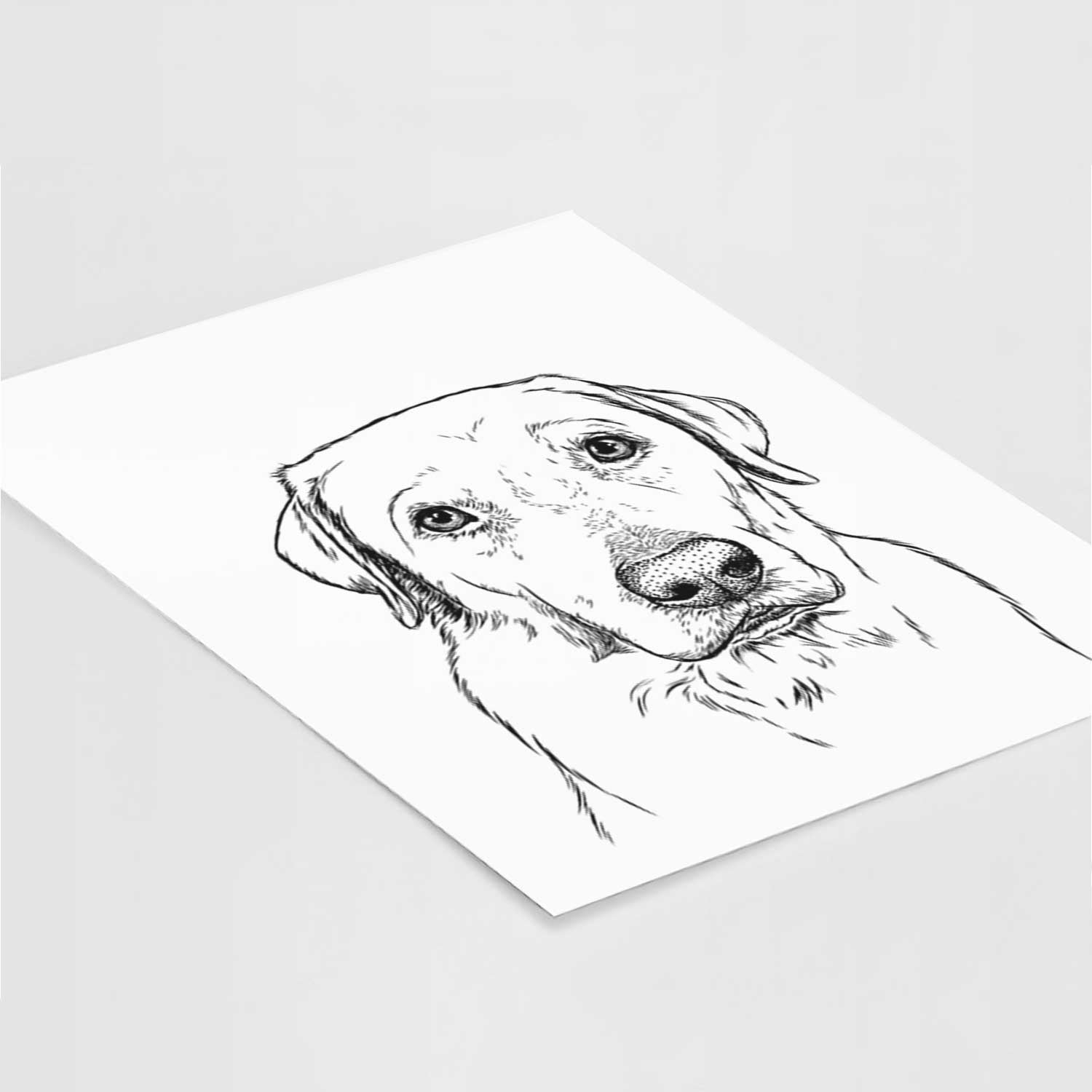 Duke the Yellow Labrador Art Print