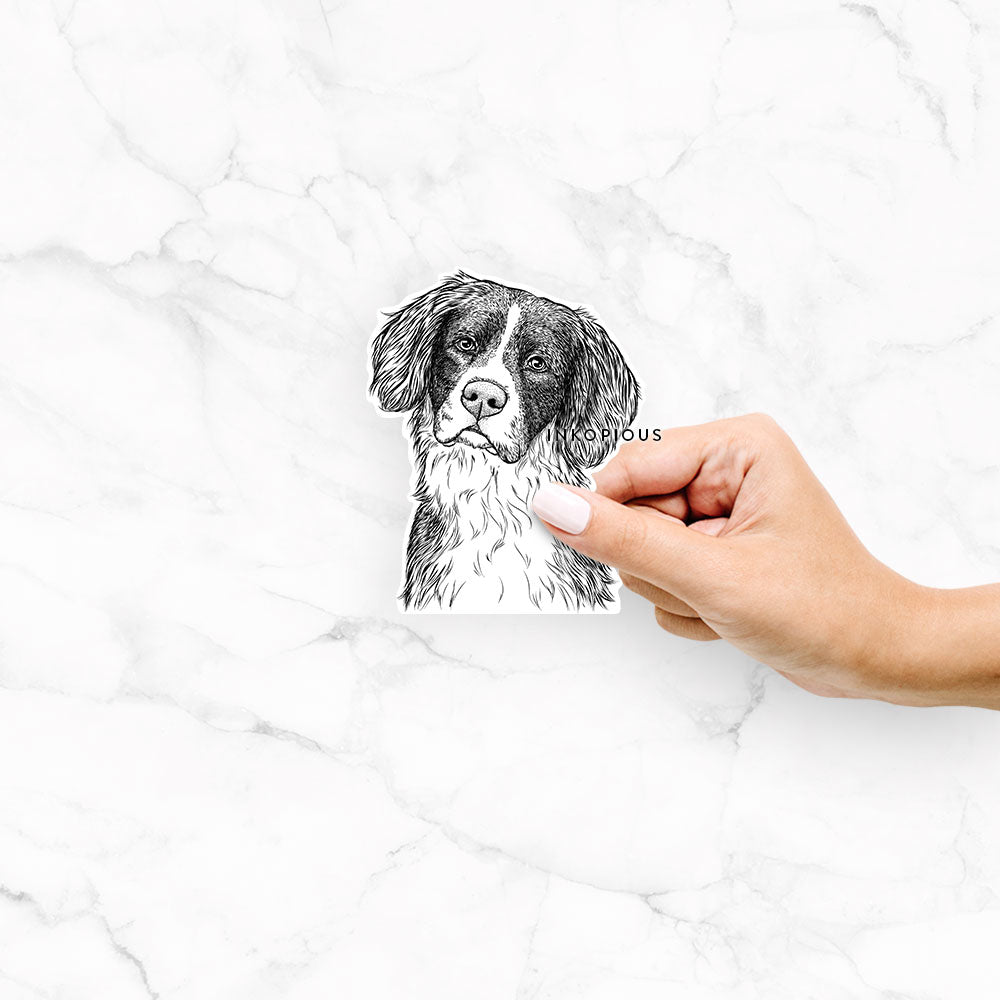 Hand-drawn sketch of Dulce the Drentsche Patrijshond on a decal sticker