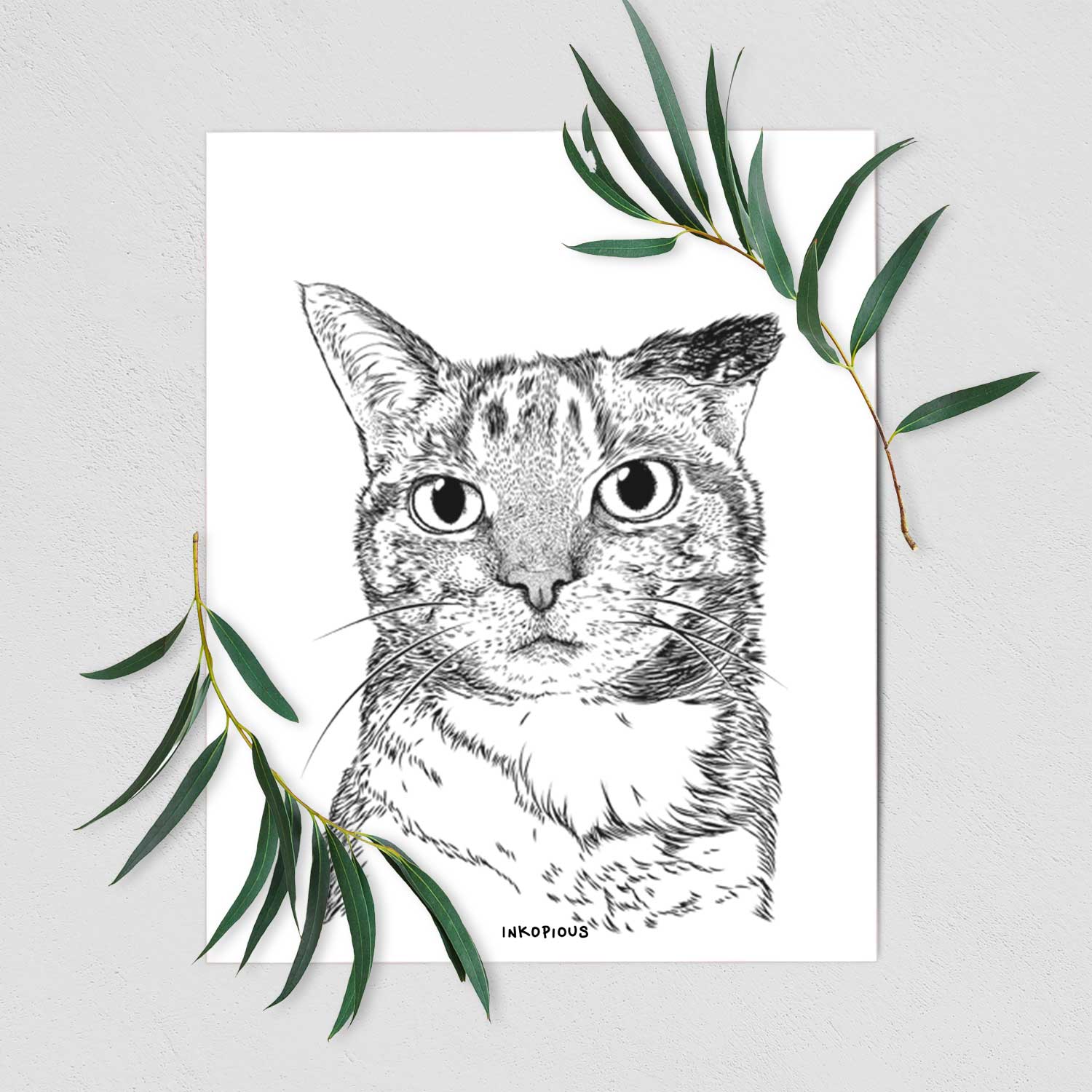 Eleanor the Domestic Shorthair Cat Art Print