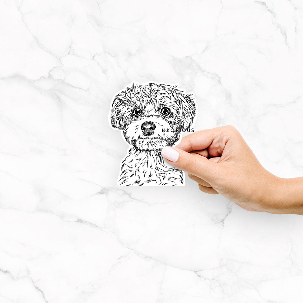 Hand-drawn sketch of Elliott the Yorkiepoo on a decal sticker