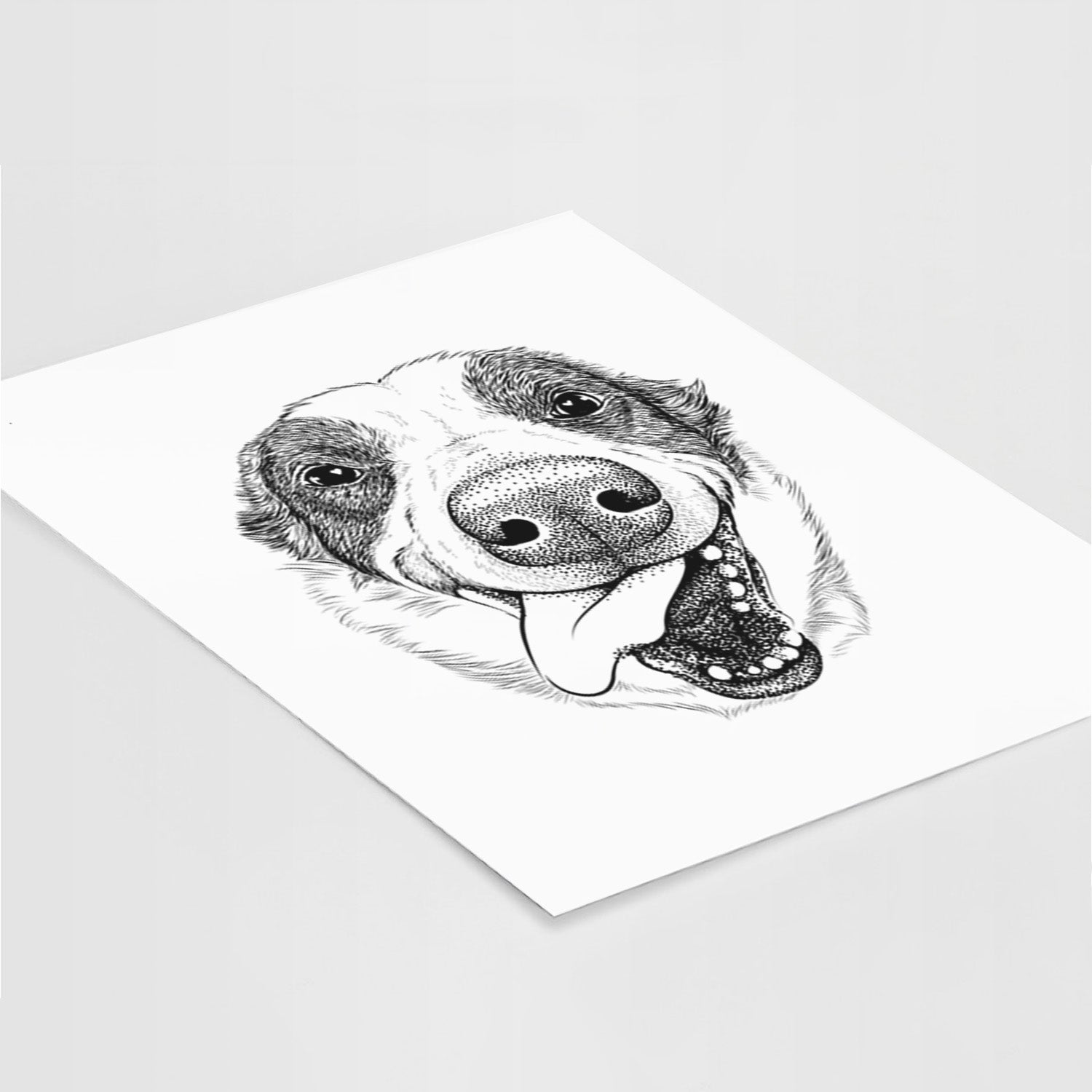 Elwood the Border Collie Art Print