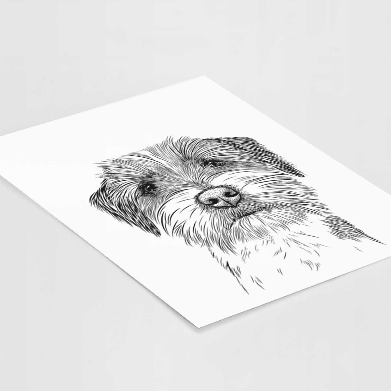 Feis the Parson Russell Terrier Art Print