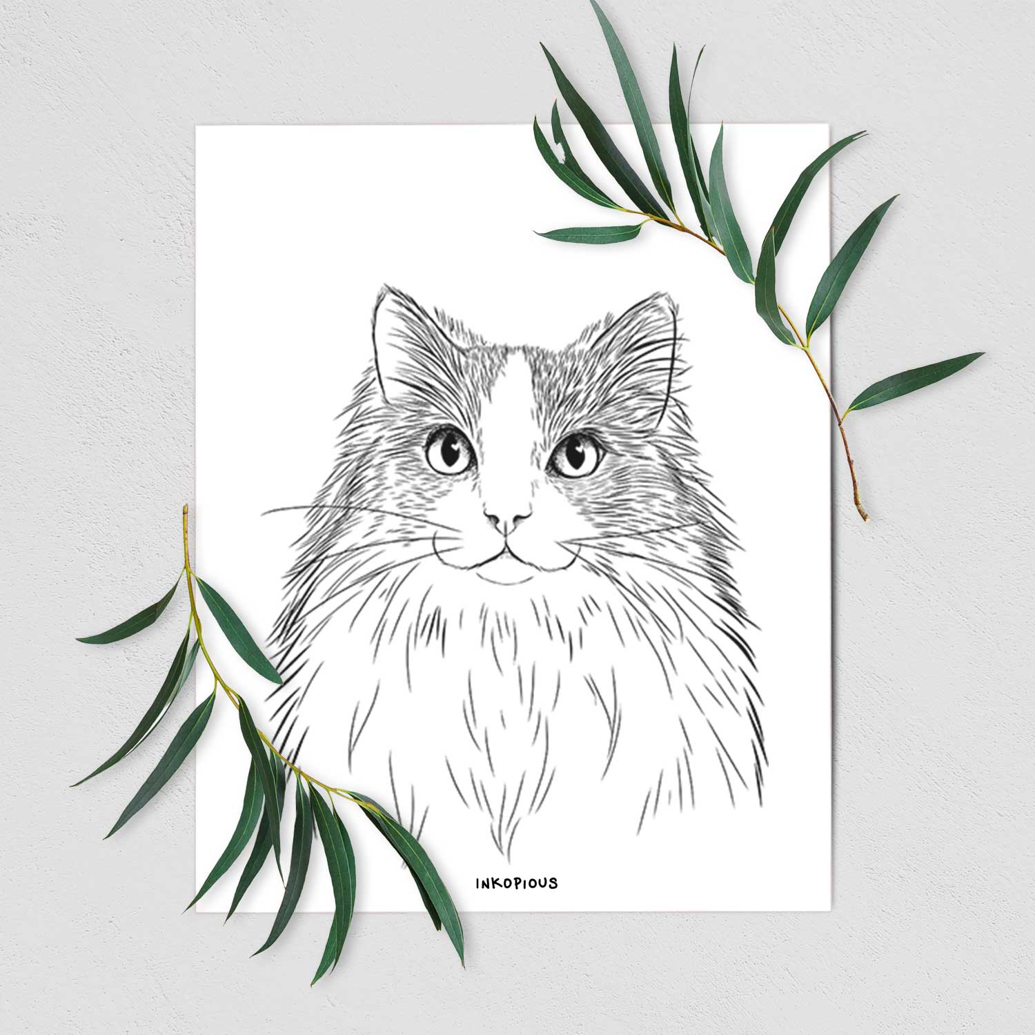Fiona the Ragdoll Cat Art Print