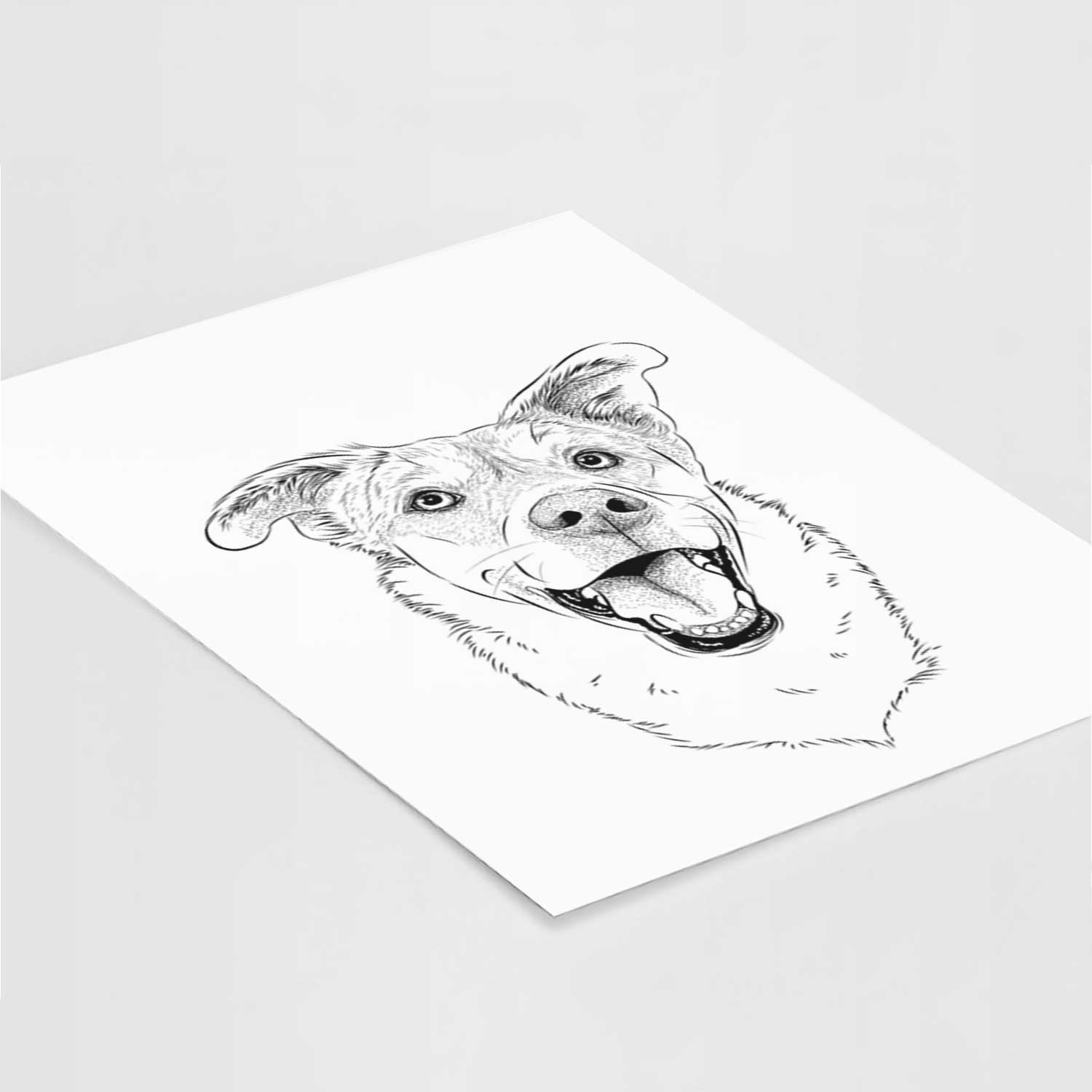 Fira the Saint Bernard Husky Mix Art Print
