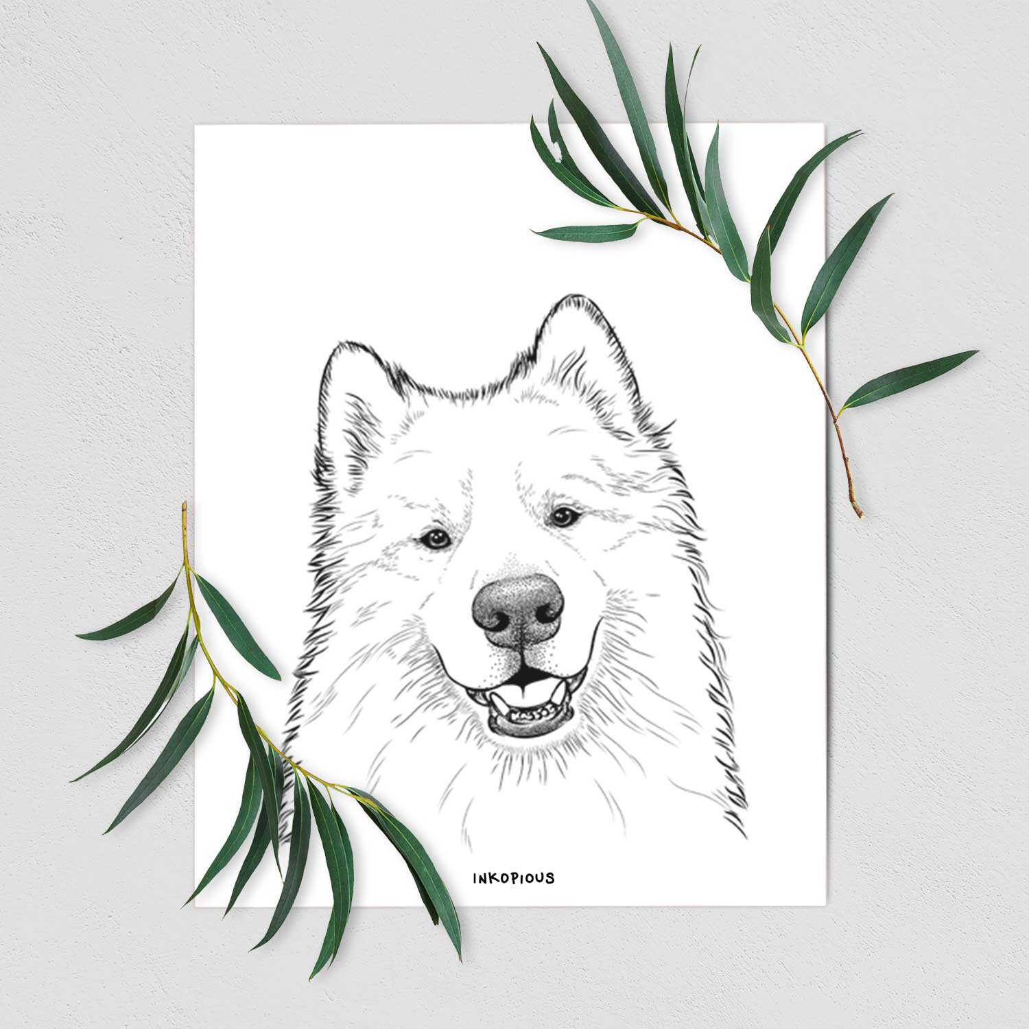 Foster the Samoyed Art Print