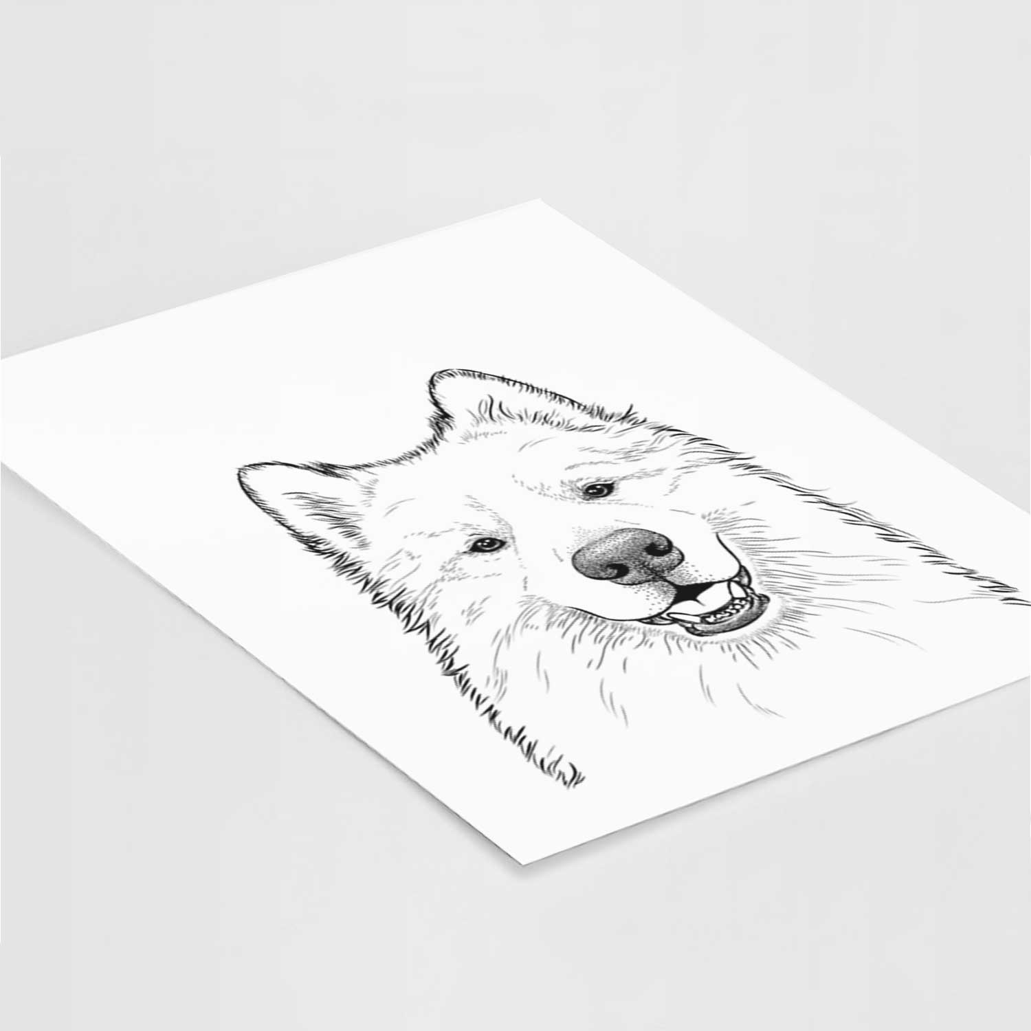 Foster the Samoyed Art Print