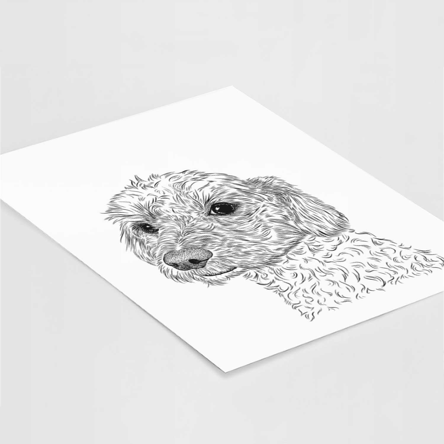 Georgie Boy the Mixed Breed Art Print
