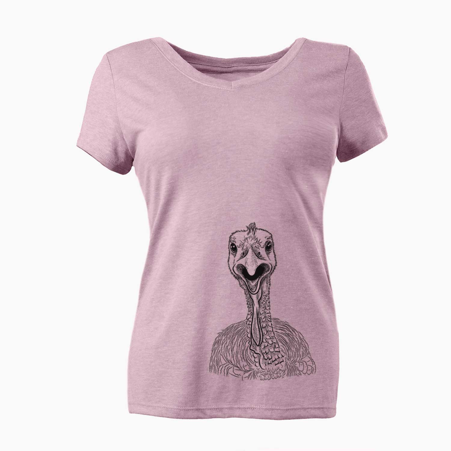 Bare Gobble the Turkey - Women's V-neck Shirt