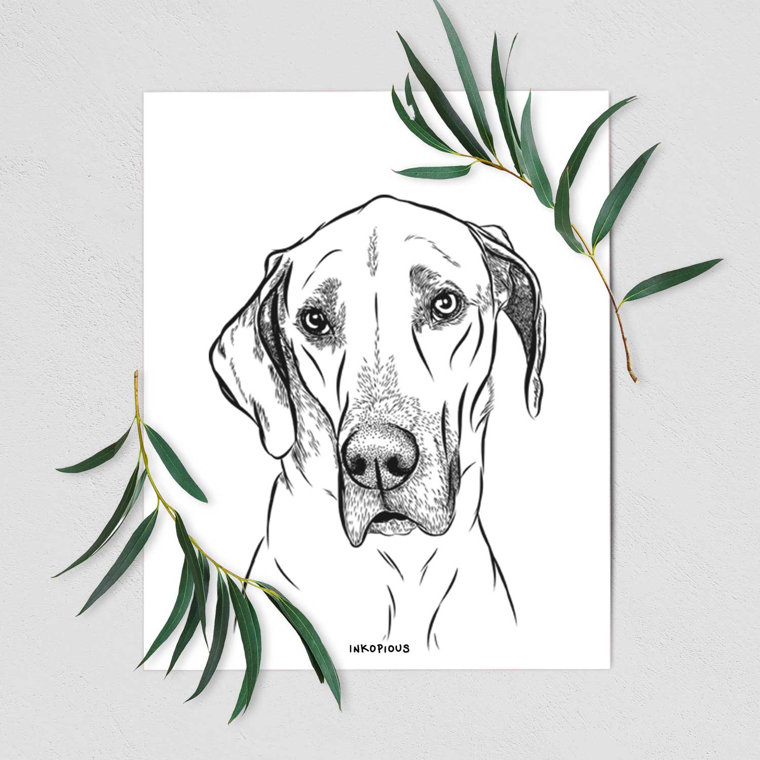 Gracie the Great Dane Art Print
