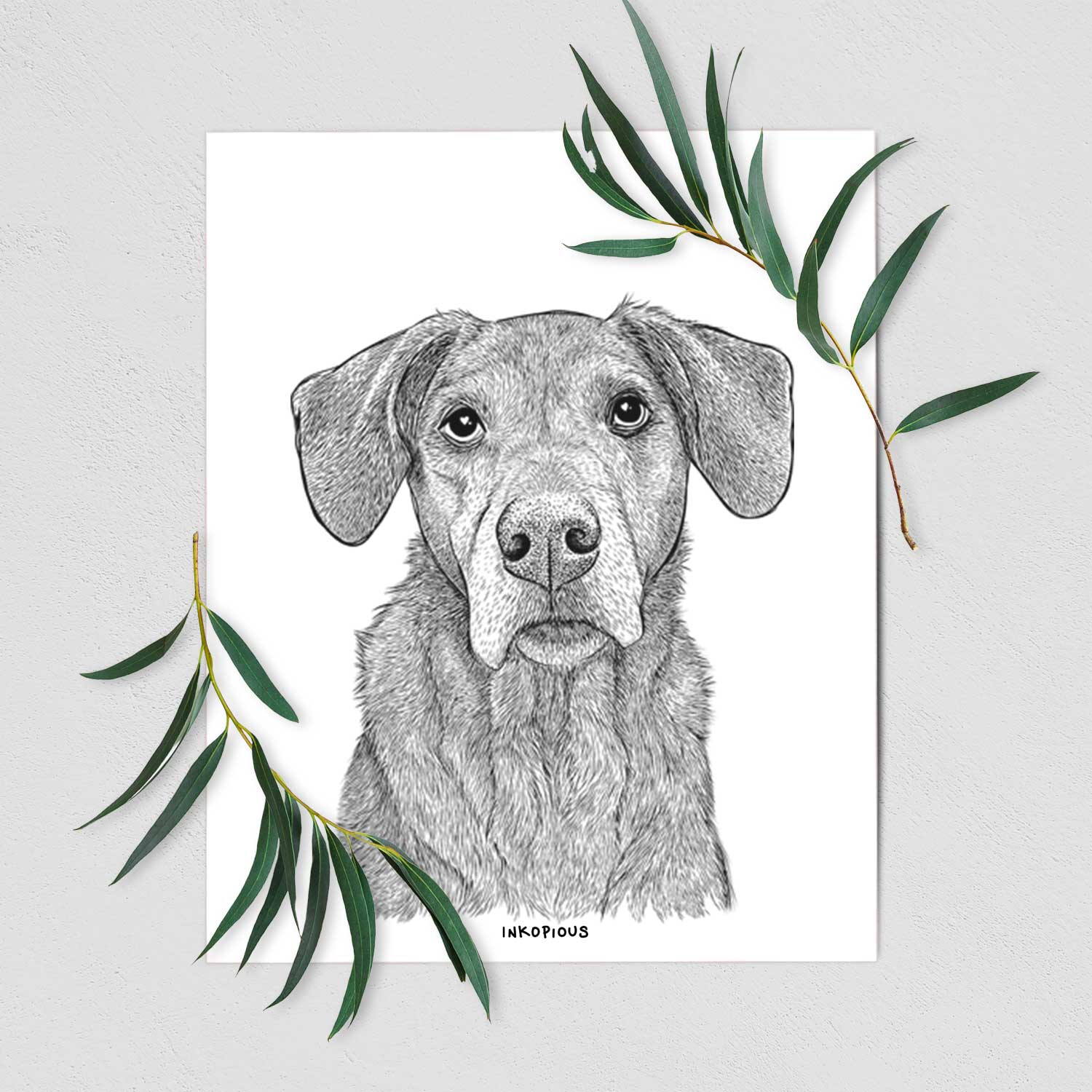 Gravy the Plott Hound Beagle Mix Art Print