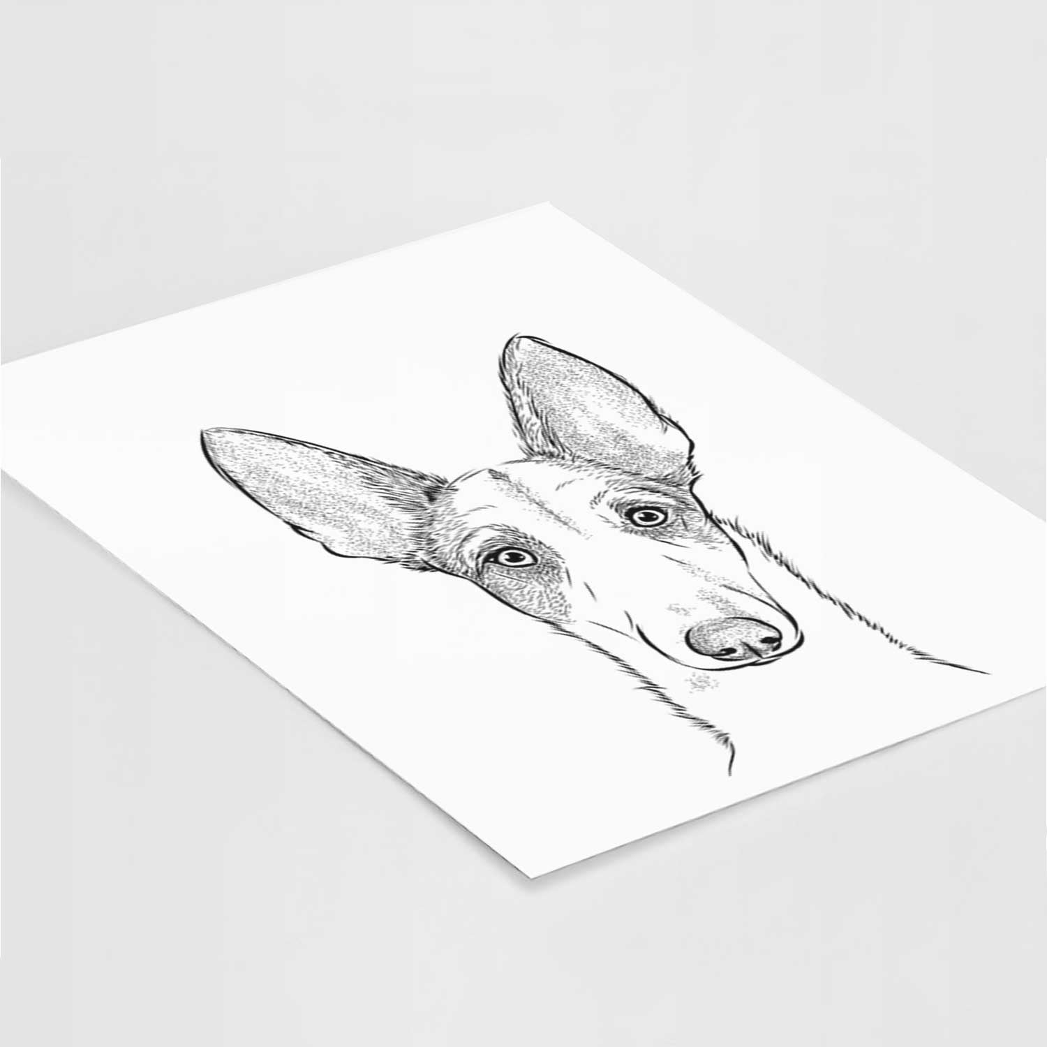 Halo the Ibizan Sight Hound Art Print