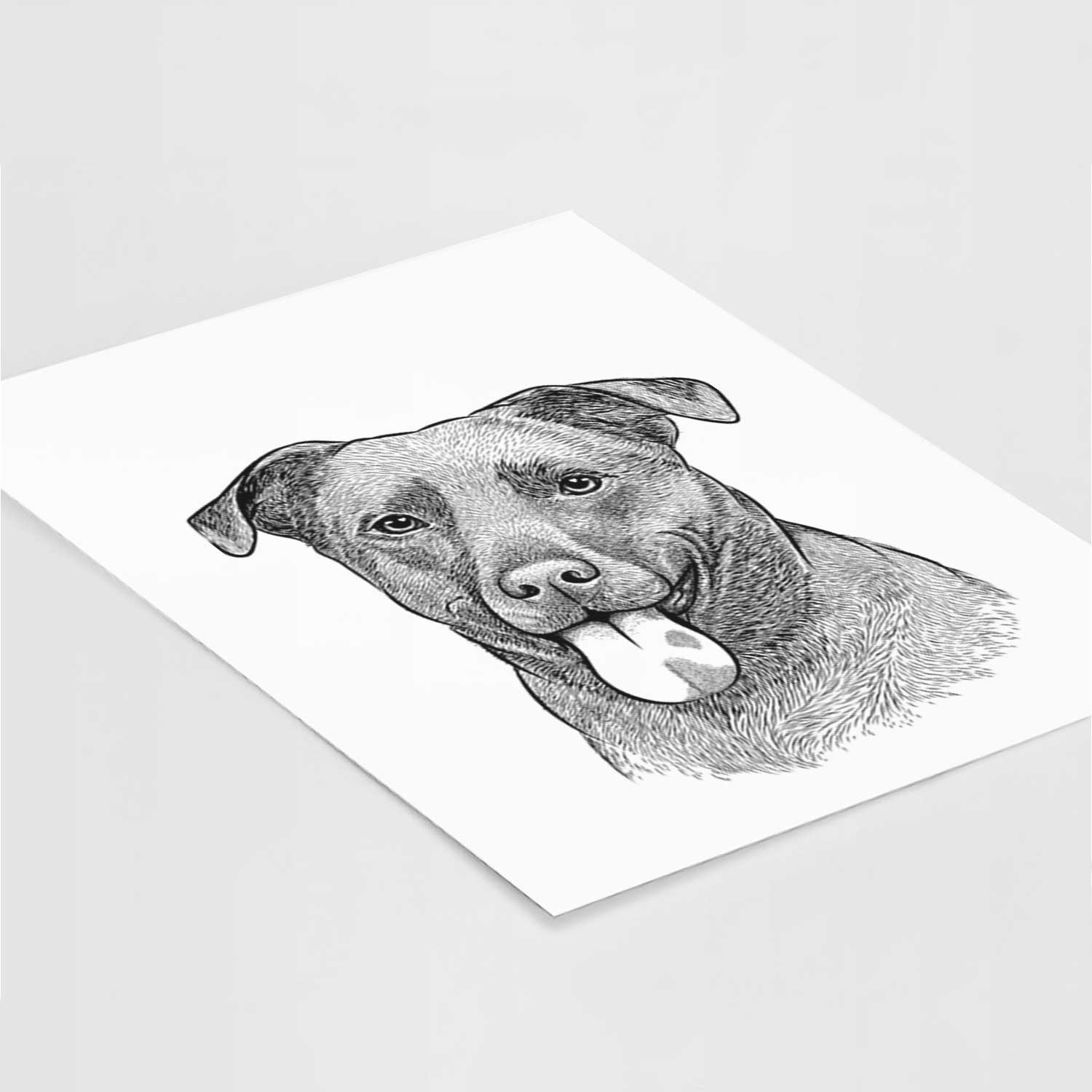 Harbor the Mixed Breed Art Print