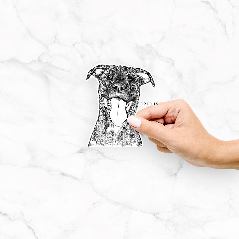 Hand-drawn sketch of Harley the Pitbull Mix on a decal sticker