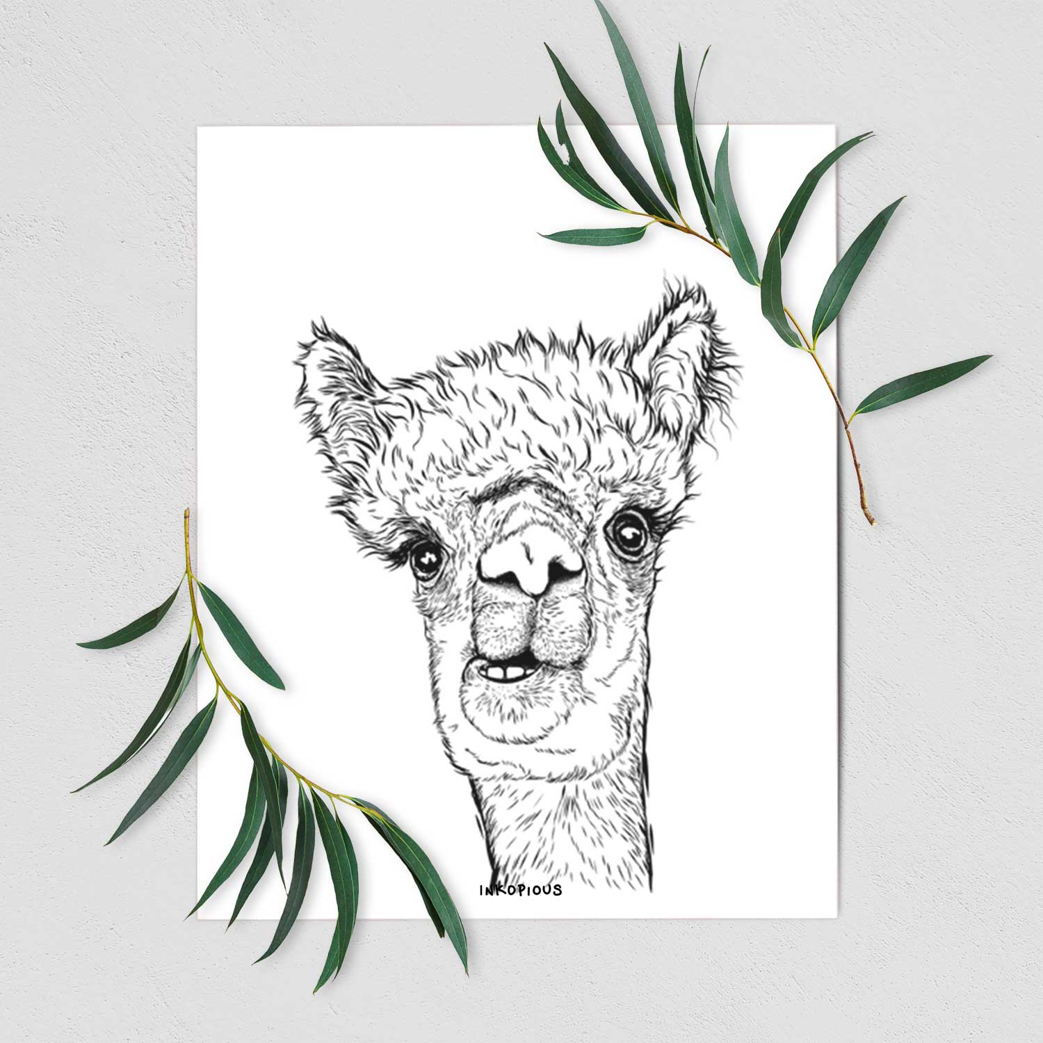 Henry the Alpaca Art Print