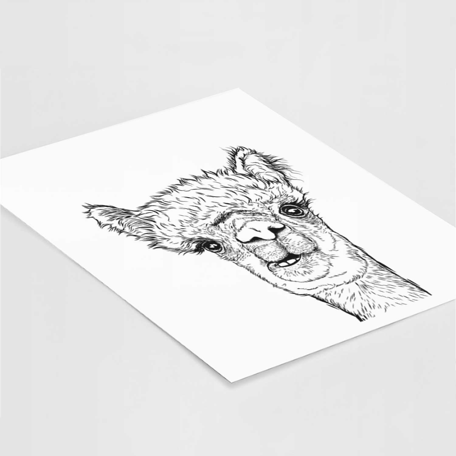 Henry the Alpaca Art Print