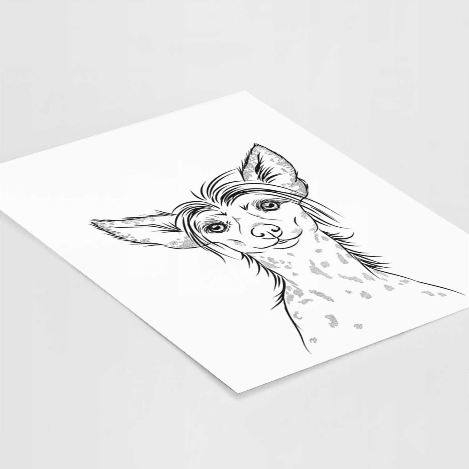 Hudson the Chinese Crested Art Print