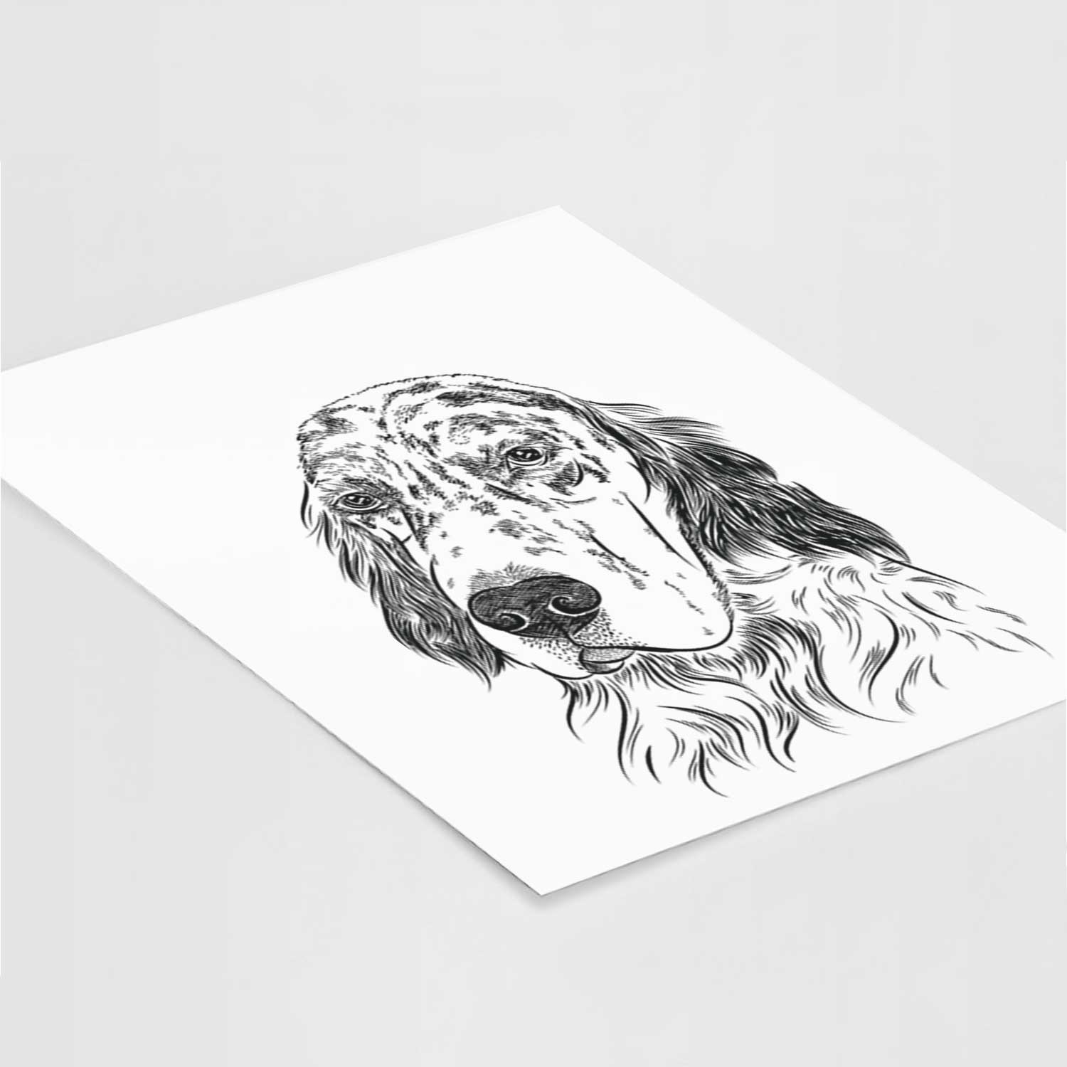 Hutch the English Setter Art Print