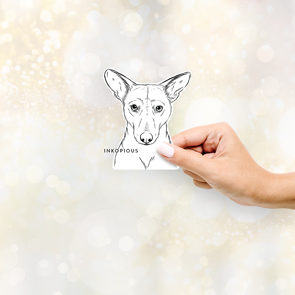 Hand-drawn sketch of Buff the Dorgi on a decal sticker