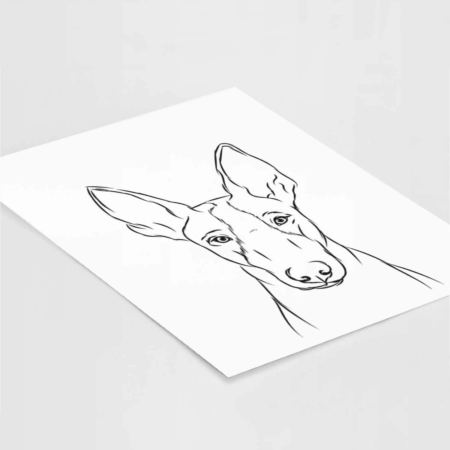Indy the Ibizan Hound Art Print