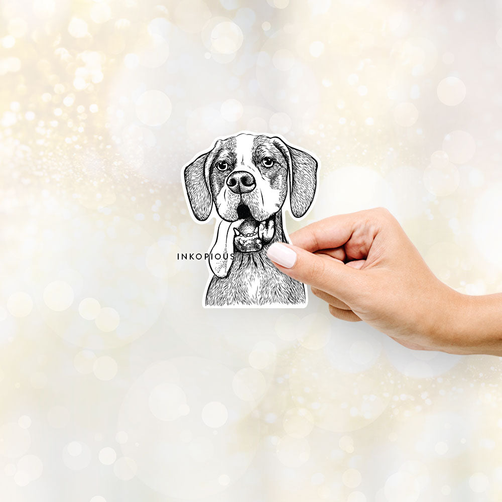 Hand-drawn sketch of Irwin the English Pointer on a decal sticker