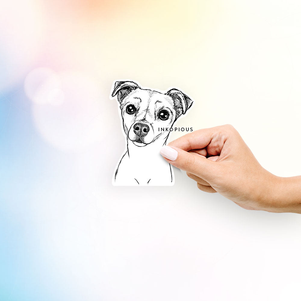 Hand-drawn sketch of Izzy the Chiweenie on a decal sticker