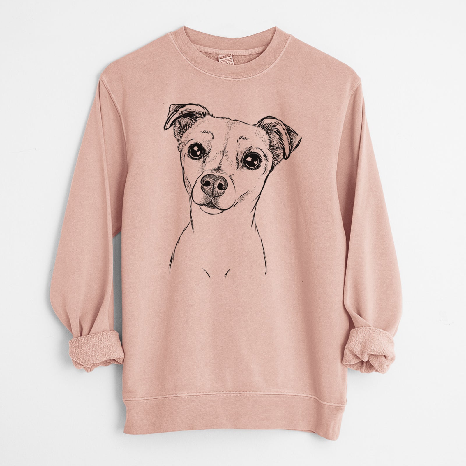 Bare Izzy the Chiweenie - Unisex Pigment Dyed Crew Sweatshirt