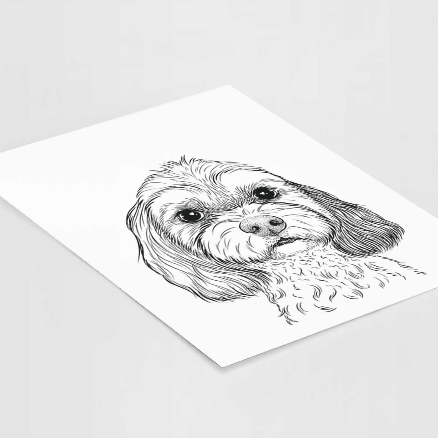 Jasper Diggins the Cavapoo Art Print