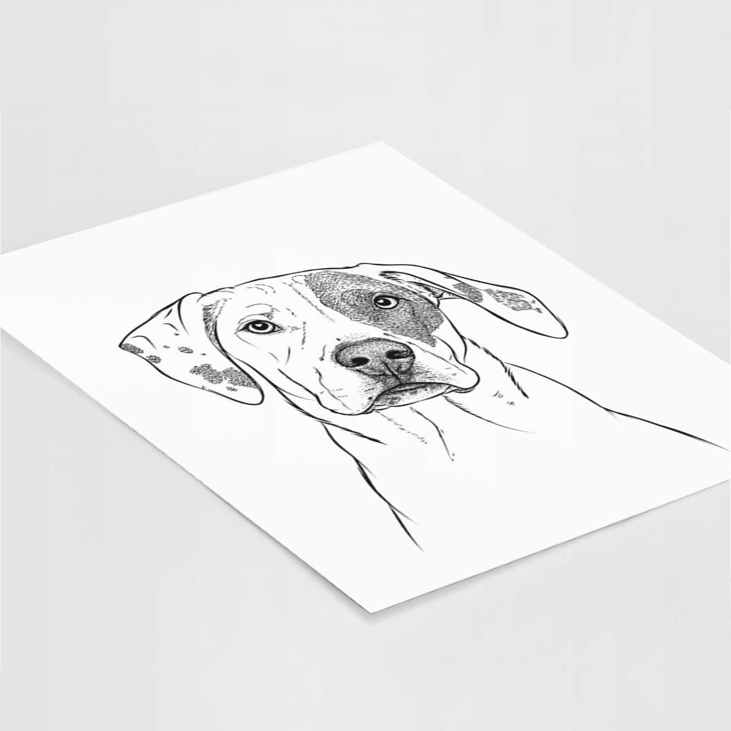 Julio the Dogo Argentino Mix Art Print