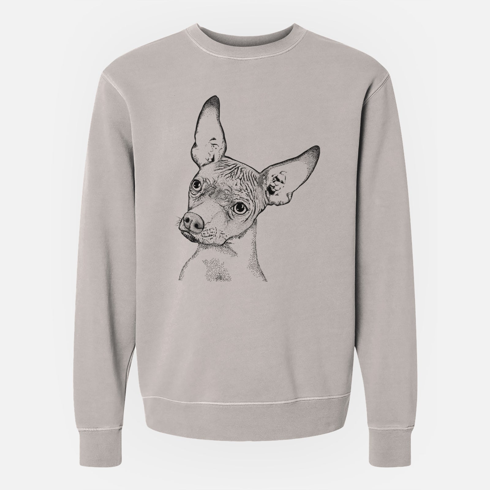 Bare Kahlo the Xoloitzcuintli - Unisex Pigment Dyed Crew Sweatshirt