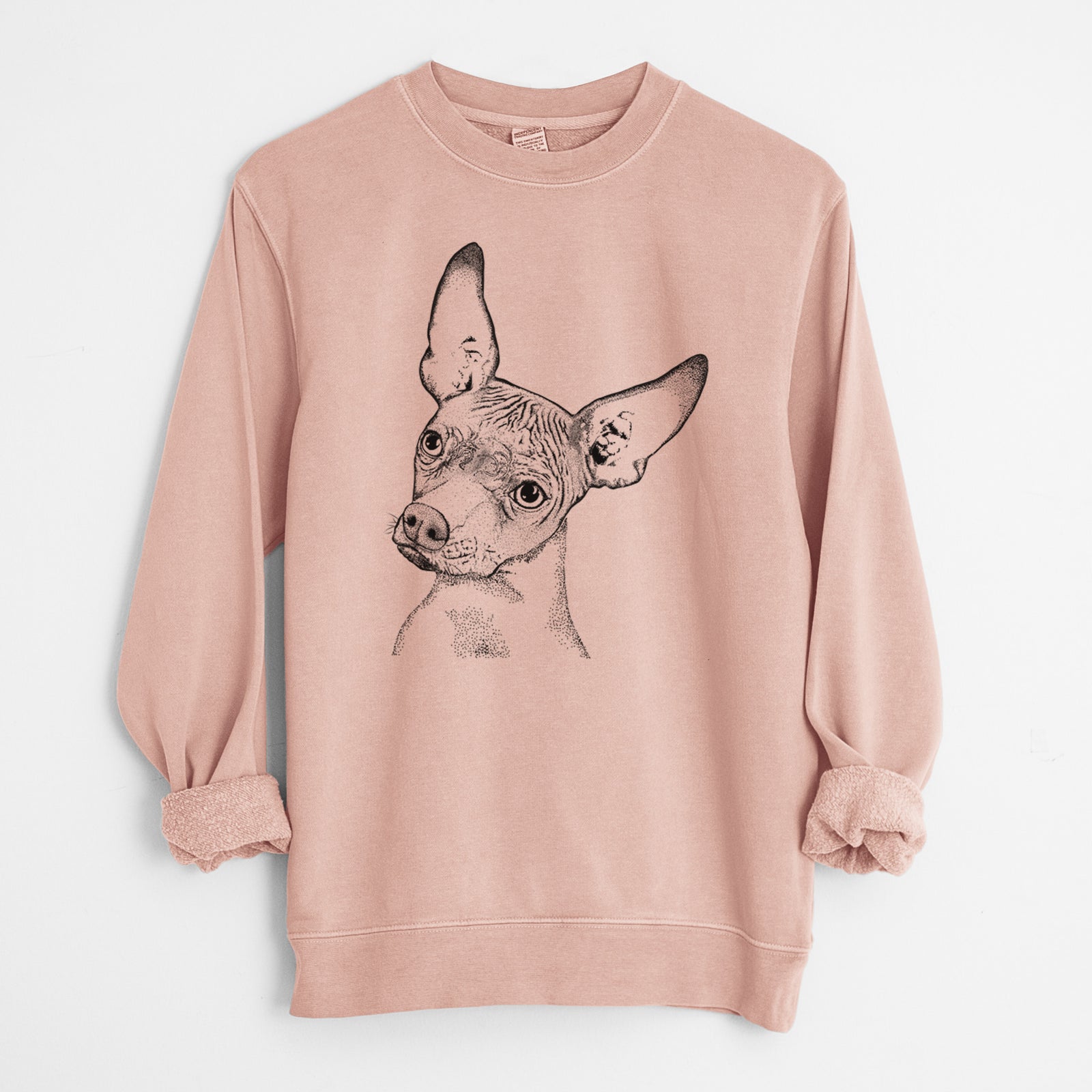 Bare Kahlo the Xoloitzcuintli - Unisex Pigment Dyed Crew Sweatshirt