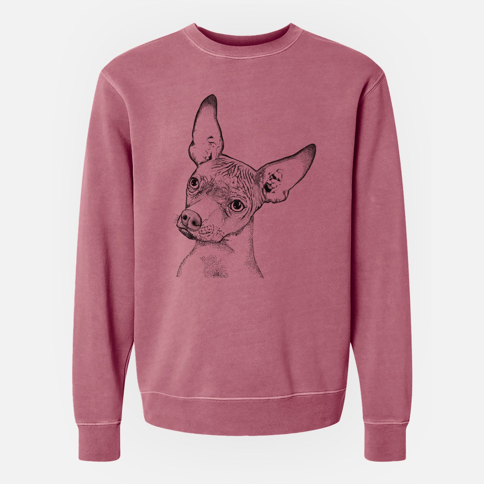 Bare Kahlo the Xoloitzcuintli - Unisex Pigment Dyed Crew Sweatshirt