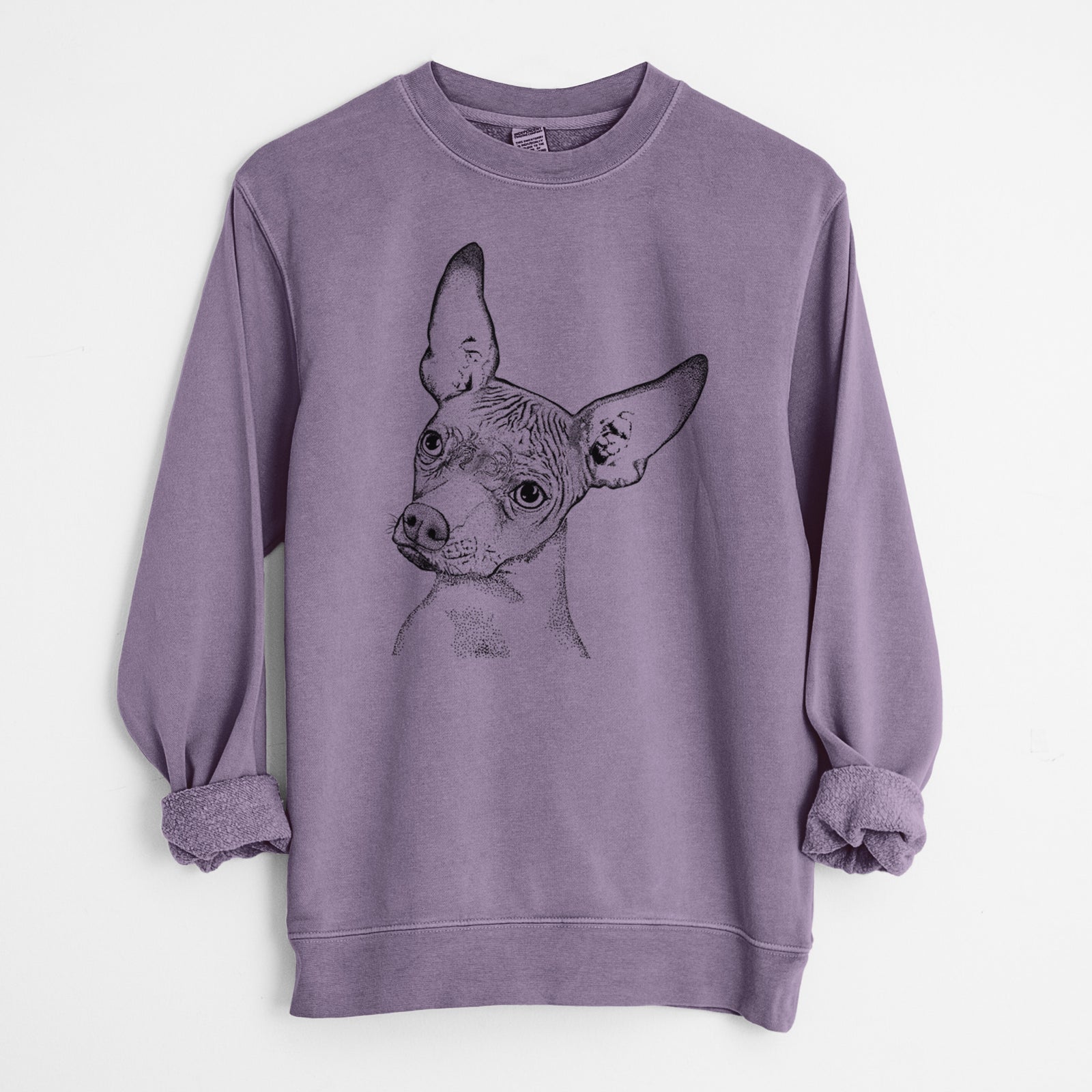 Bare Kahlo the Xoloitzcuintli - Unisex Pigment Dyed Crew Sweatshirt