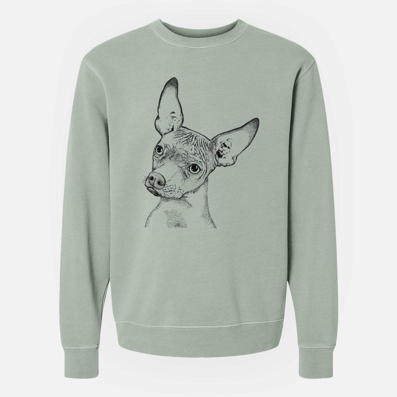 Bare Kahlo the Xoloitzcuintli - Unisex Pigment Dyed Crew Sweatshirt