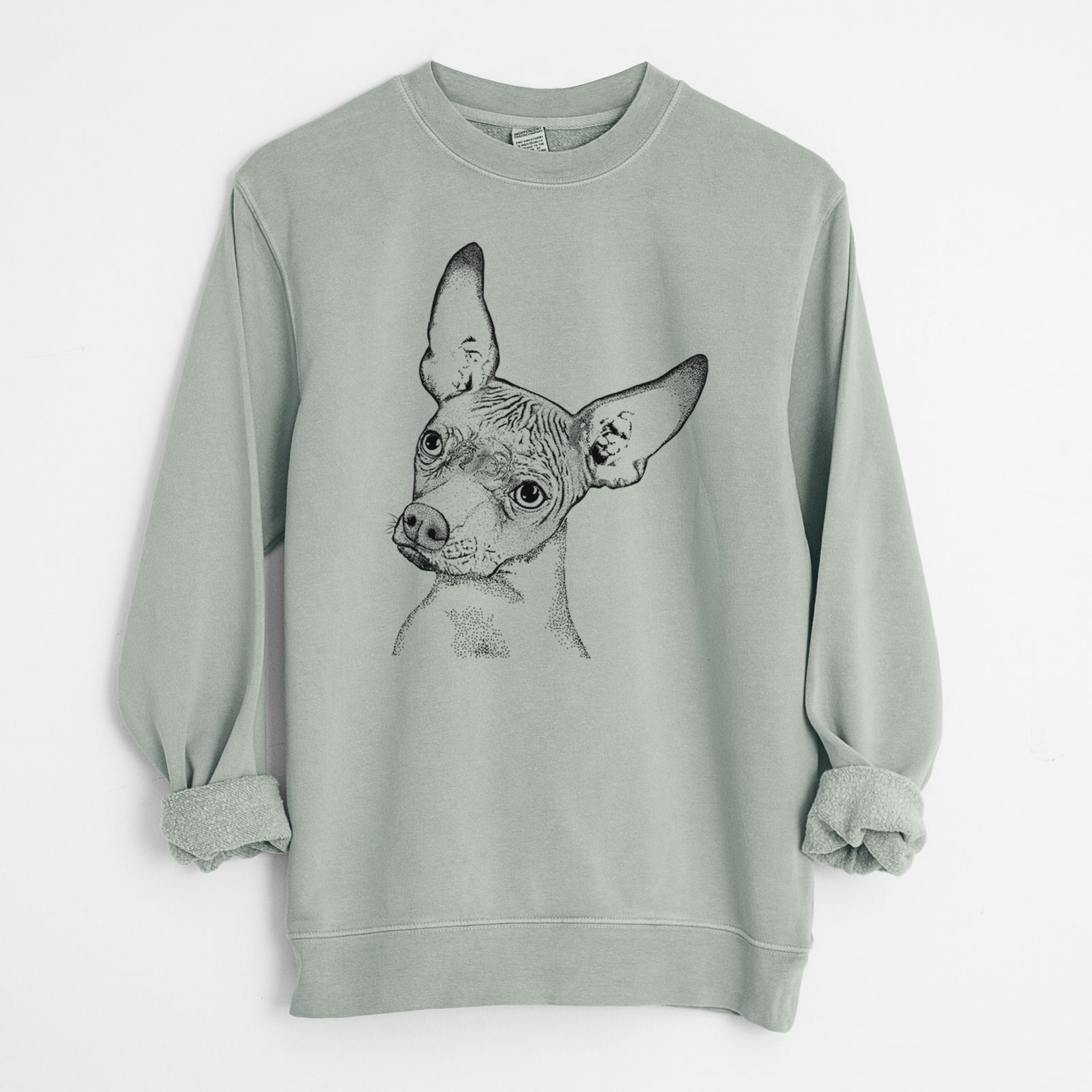 Bare Kahlo the Xoloitzcuintli - Unisex Pigment Dyed Crew Sweatshirt