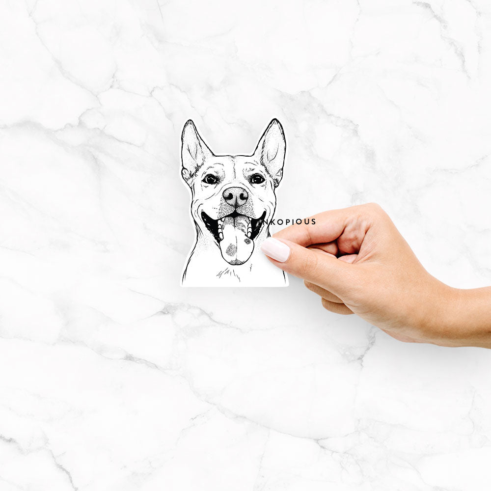 Hand-drawn sketch of Khaleesi the Carolina Dog on a decal sticker
